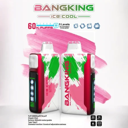 Bang King 60000 拋棄式電子煙｜LED 電量螢幕 × 五檔冰感控制｜大容量續航・多款口味