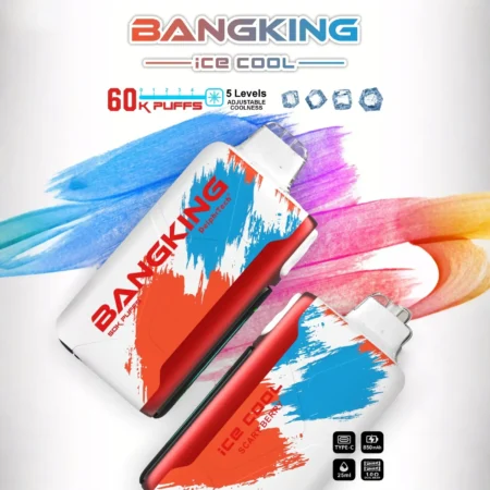 Bang King 60000 拋棄式電子煙｜LED 電量螢幕 × 五檔冰感控制｜大容量續航・多款口味