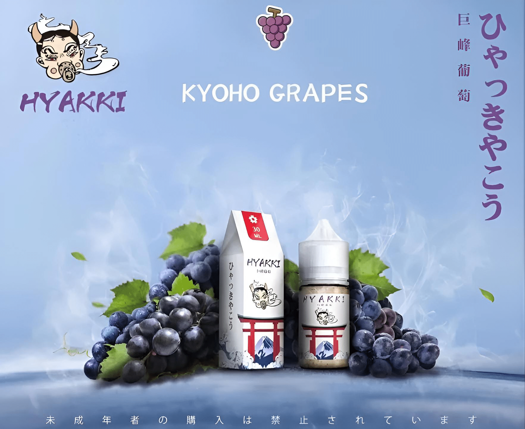 HYAKKI 哈亞齊日系進口 30ml／35mg 小煙專用煙油｜711貨到付款